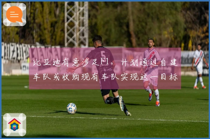 比亚迪有意涉足F1，计划通过自建车队或收购现有车队实现这一目标