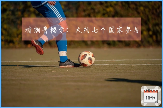 特朗普揭示：大约七个国家参与